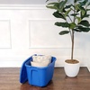 image:imageHOMZ 8Pack Durable Molded Bin Plastic Storage Containers with Lids 18 Gallon Blue  Stackable Organizer Totes and Boxes for Bedroom Kitchen and Garage OrganizationBlue