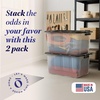 image:imageHOMZ Clear Plastic Storage Bins with Lid 30 Gallon Black 2 PackClear  Black